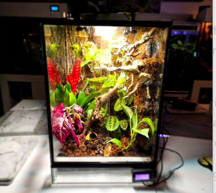 the datrfrog humidity guide an image of a healthy viv