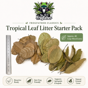 Frogfather Classics Tropical Leaf Litter Starter Pack showing approximately 40 large mixed tropical leaves for bioactive vivariums.