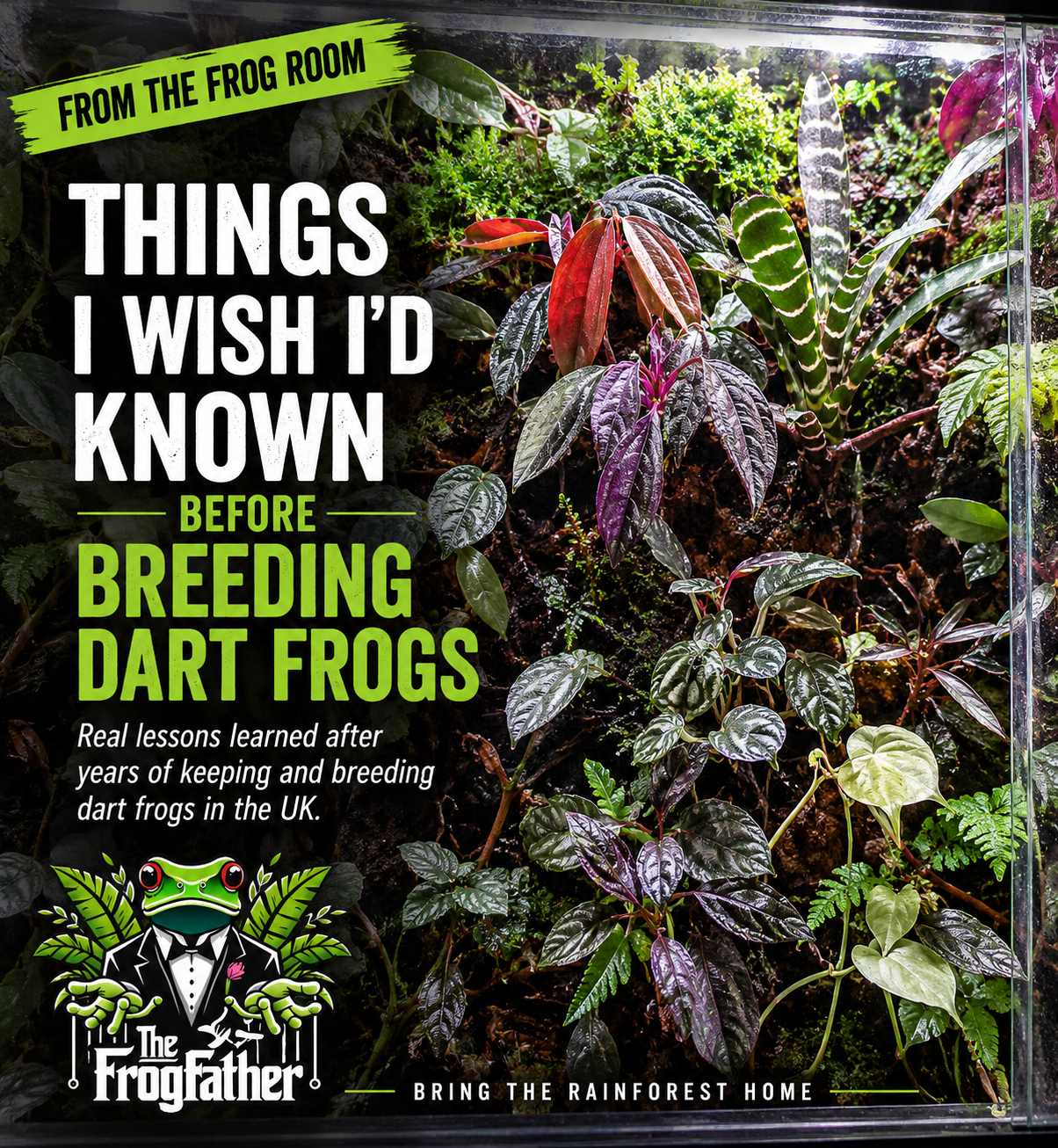 Bioactive dart frog breeding vivarium with tropical plants used to illustrate real lessons learned from years of captive breeding in the UK.