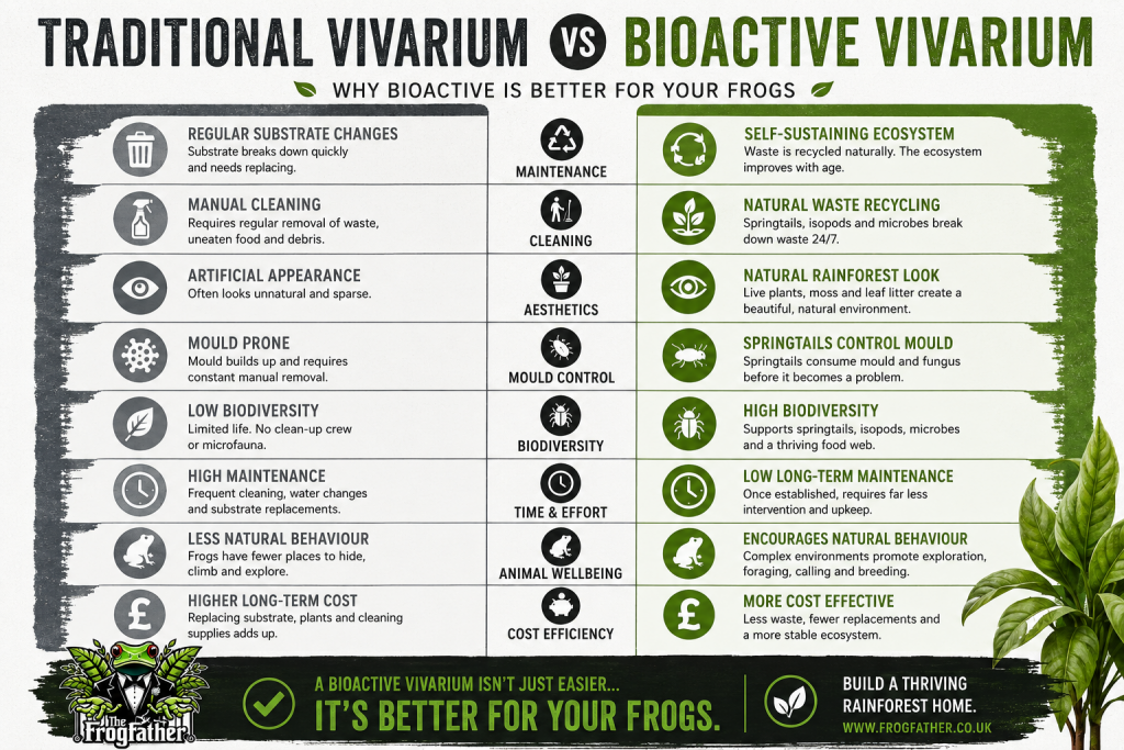 The Complete Guide To Bioactive Vivariums (UK) | Frogfather