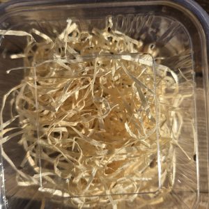 500cc bean weevil starter culture with live adult weevils for dart frog livefood