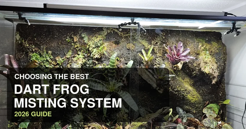 Automatic misting nozzles above a planted dart frog vivarium
