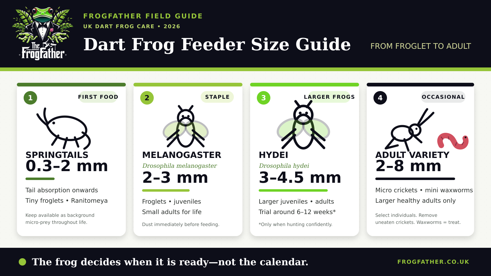 Dart frog feeder size guide comparing springtails, melanogaster, hydei, micro crickets and mini waxworms