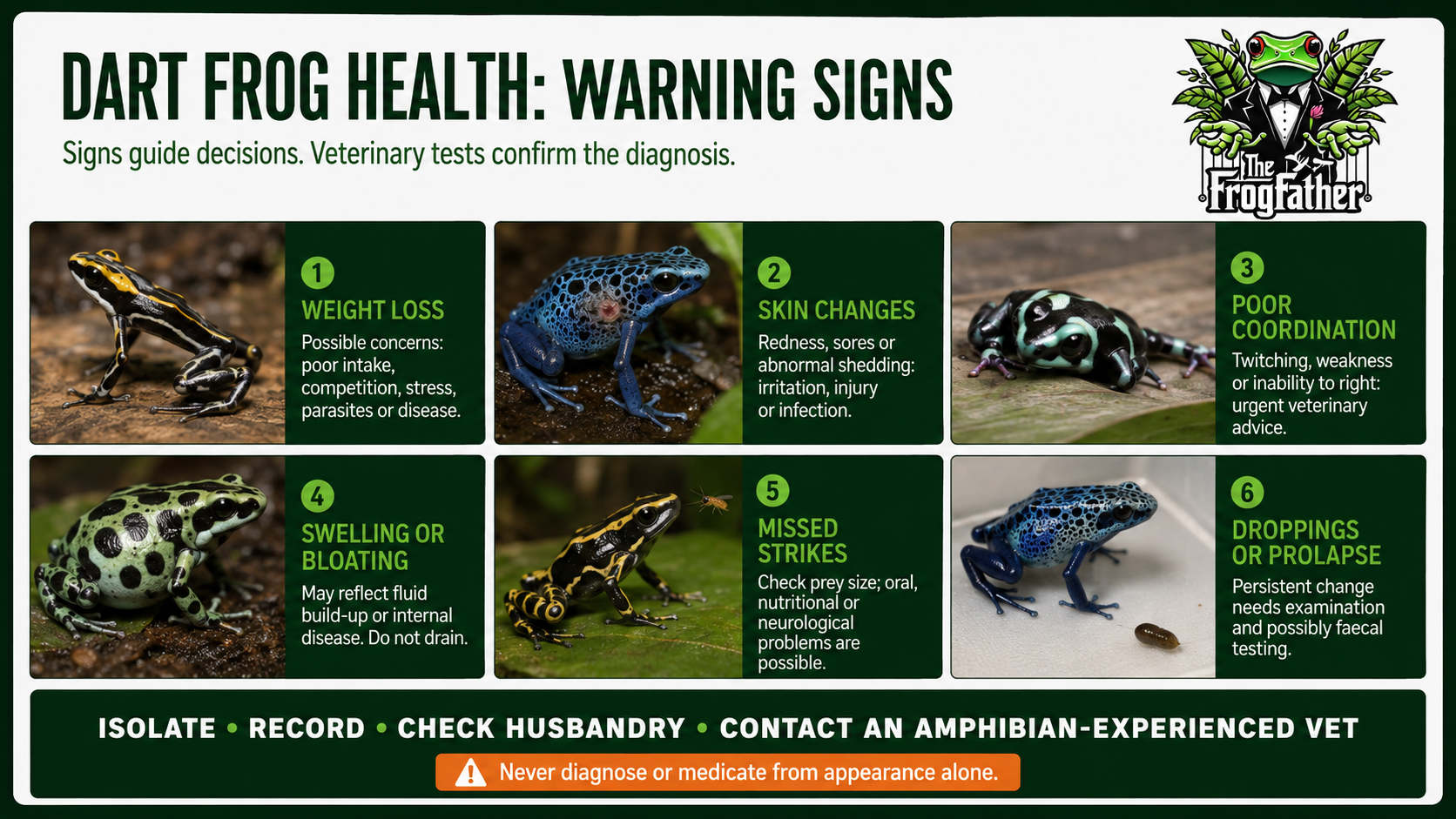 Dart frog health warning-sign infographic showing weight loss, skin changes, poor coordination, swelling, missed strikes and abnormal droppings