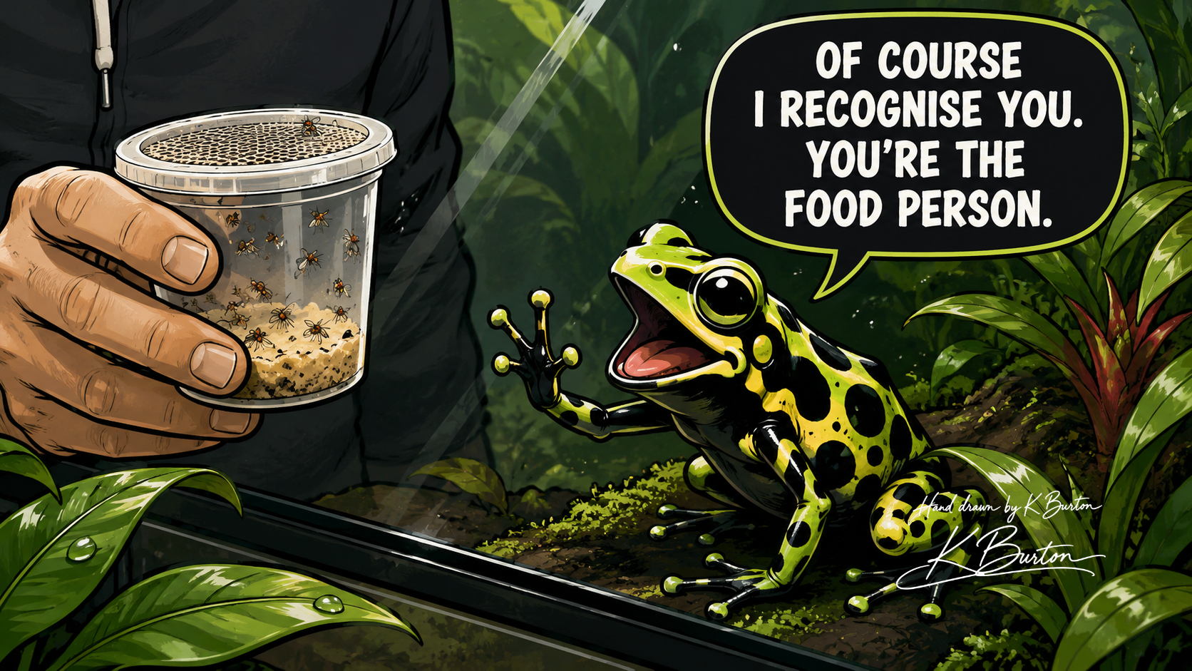 Cartoon dart frog enthusiastically greeting a keeper holding a culture of fruit flies