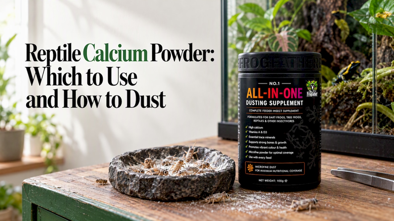 Feeder insects beside calcium supplement shaker