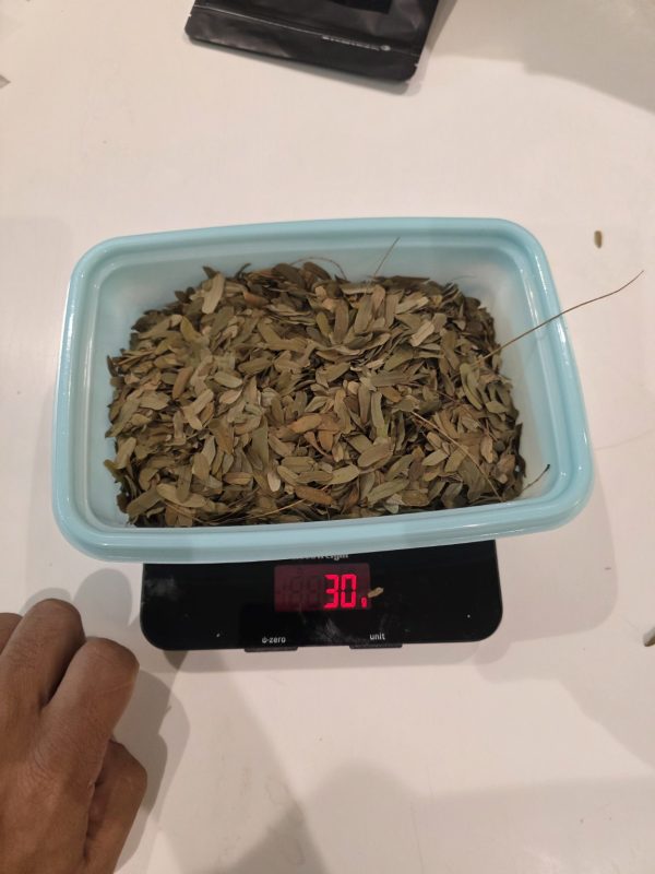 Forest Floor Tamarind Leaves – Bioactive Vivarium Leaf Litter – 30 g - Image 4