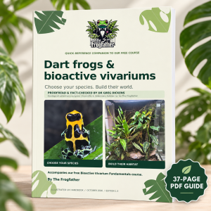 Mock-up of The Frogfather’s dart frog and bioactive vivarium PDF guide, showing frog and habitat photographs.