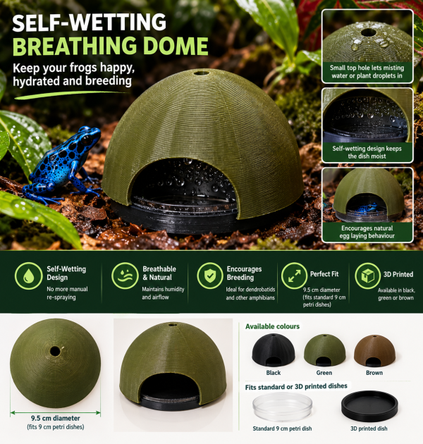 Frogfather self-wetting dart frog breeding dome with top water inlet, 9.5 cm diameter, compatible with 9 cm Petri dishes, shown with blue dart frog.