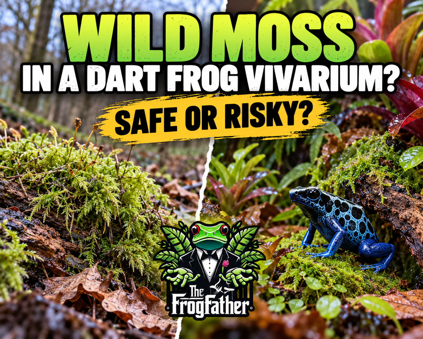 Comparison of wild woodland moss and moss growing inside a tropical dart frog vivarium.